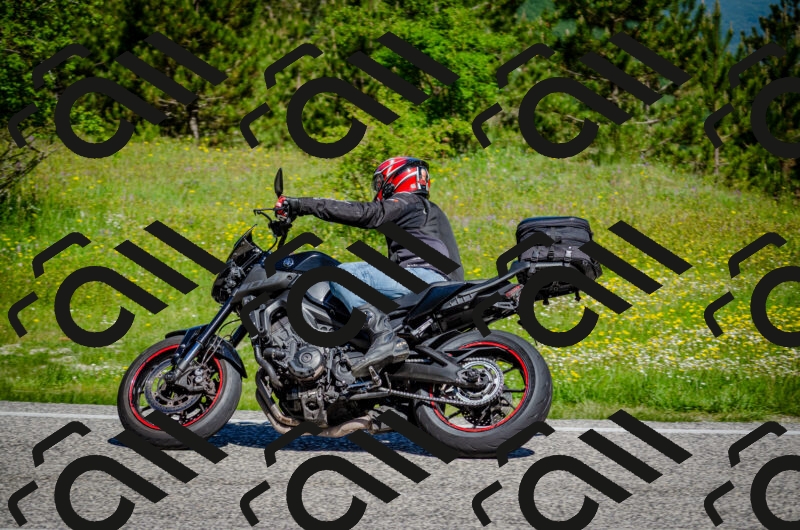 202506011049-DSC_2682_c2