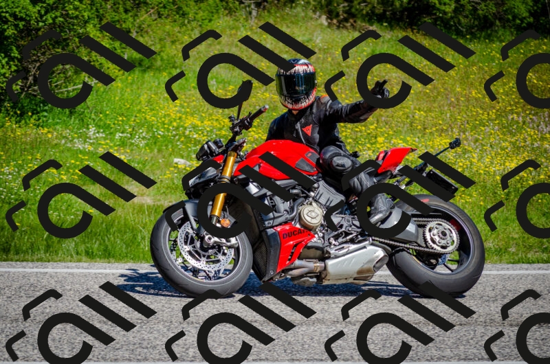 202506011049-DSC_2688_c2