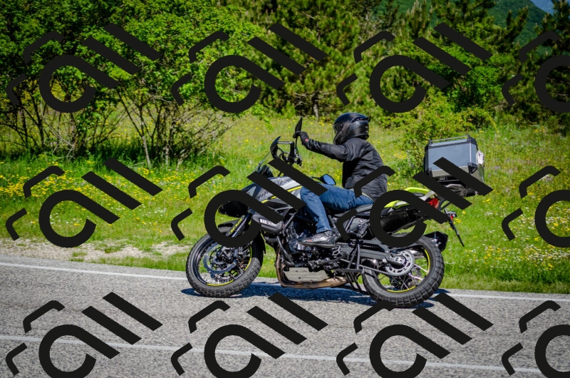 202506011049-DSC_2693_c2