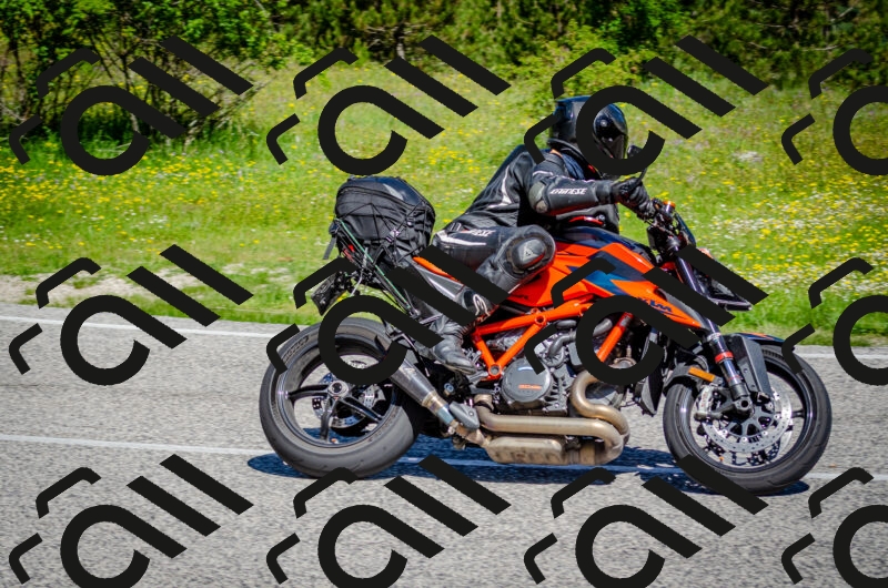 202506011050-DSC_2700_c2