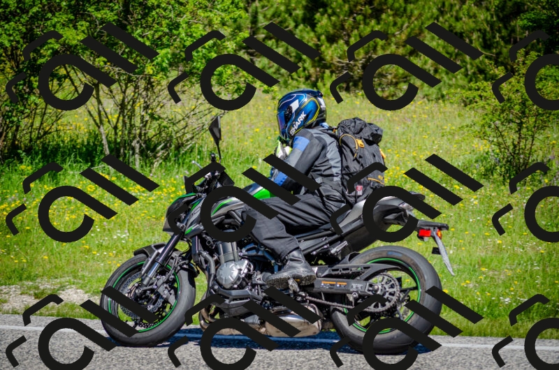 202506011051-DSC_2706_c2