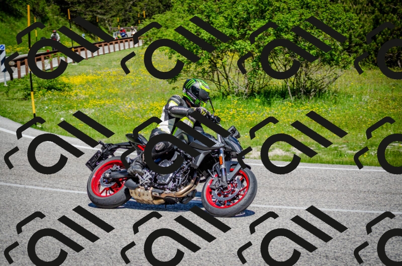 202506011051-DSC_2710_c2