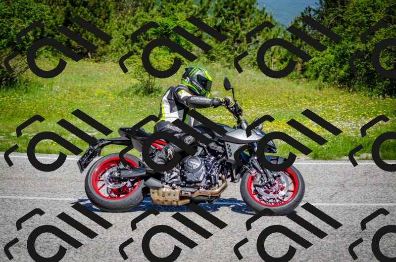 202506011051-DSC_2711_c2