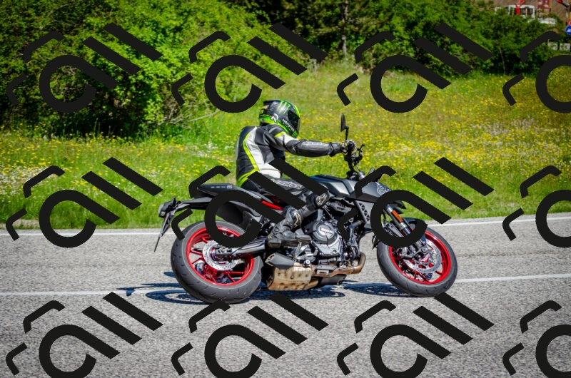 202506011051-DSC_2712_c2