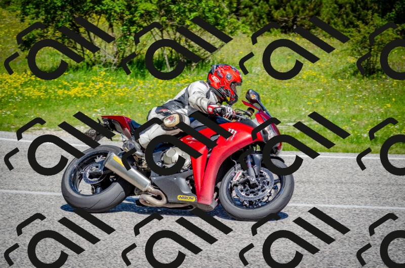 202506011051-DSC_2714_c2