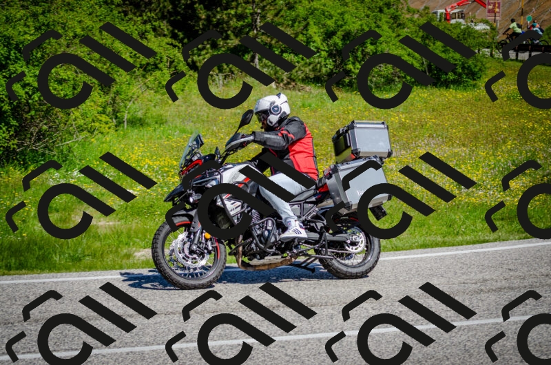 202506011053-DSC_2729_c2