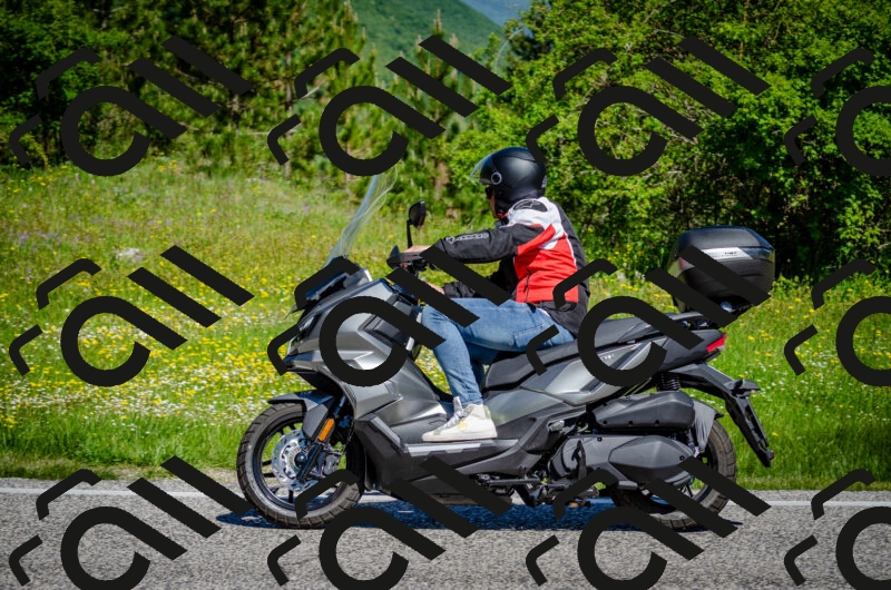 202506011053-DSC_2732_c2