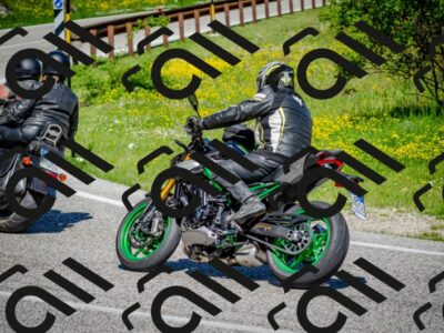 202506011053-DSC_2739_c2