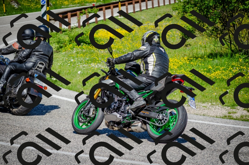 202506011053-DSC_2739_c2