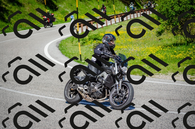 202506011054-DSC_2753_c2