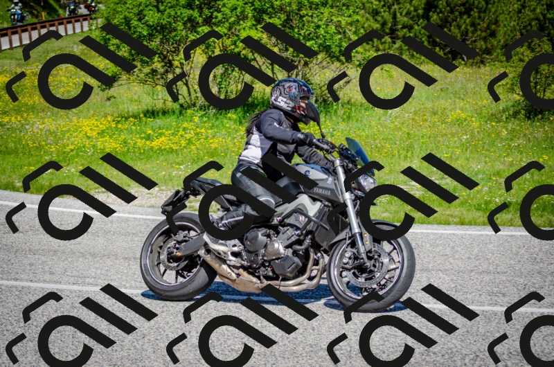 202506011054-DSC_2754_c2