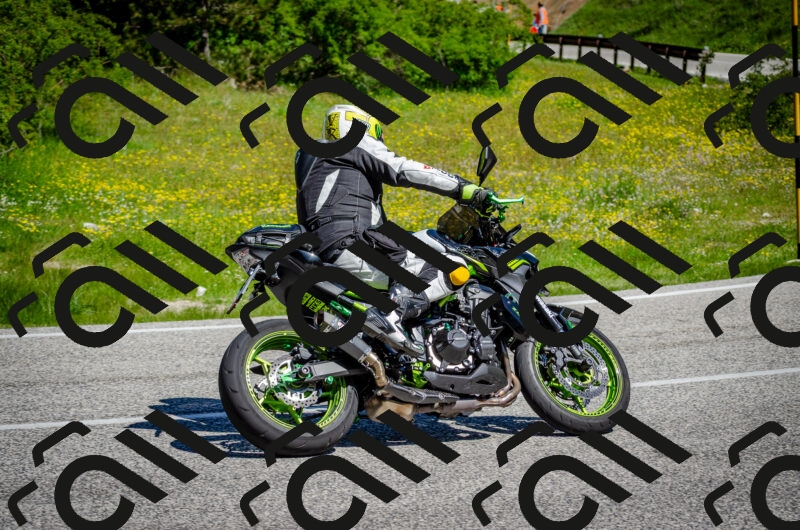 202506011054-DSC_2767_c2