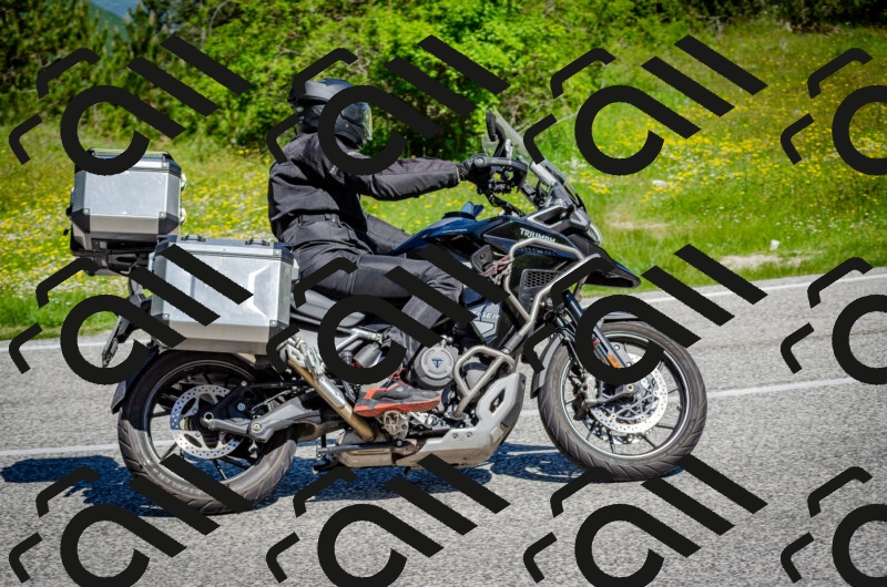 202506011056-DSC_2770_c2