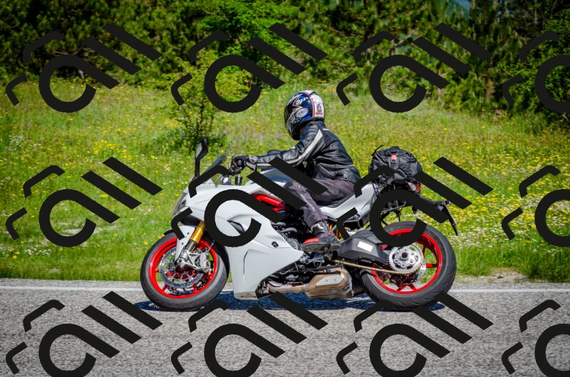 202506011056-DSC_2781_c2