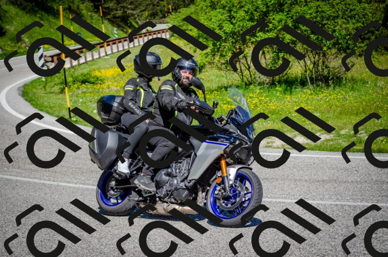 202506011057-DSC_2784_c2