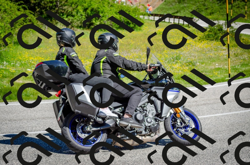 202506011057-DSC_2785_c2