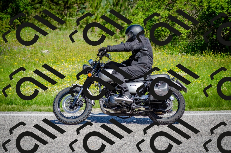 202506011057-DSC_2788_c2