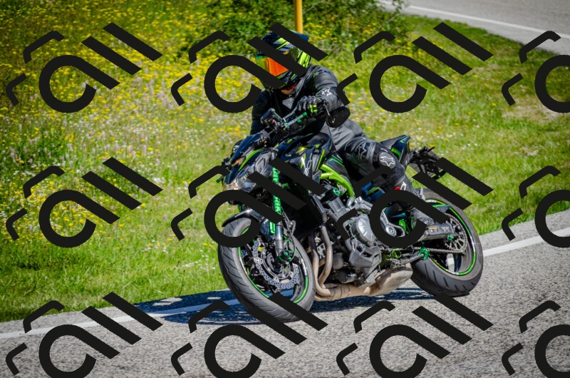 202506011058-DSC_2791_c2