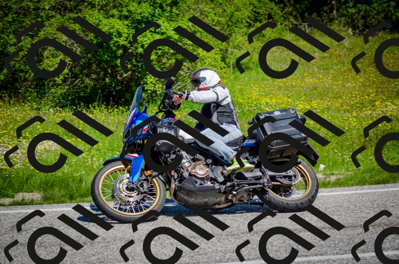 202506011058-DSC_2794_c2