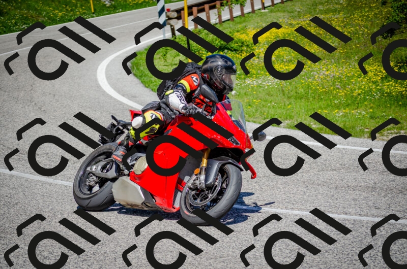 202506011058-DSC_2797_c2