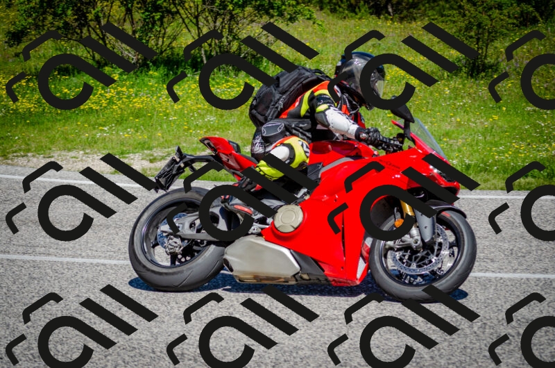 202506011058-DSC_2798_c2