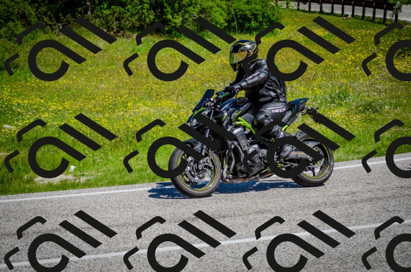 202506011059-DSC_2809_c2