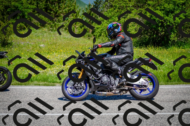 202506011059-DSC_2810_c2