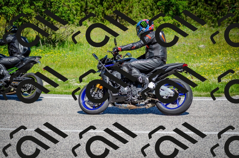 202506011059-DSC_2811_c2