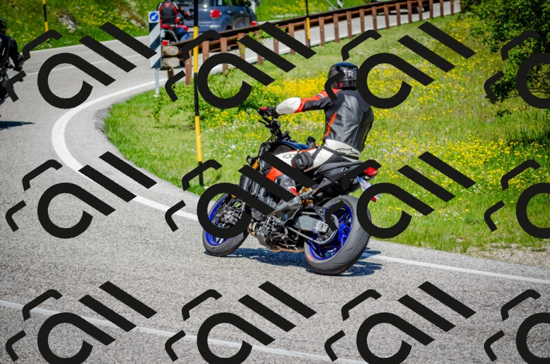 202506011059-DSC_2814_c2