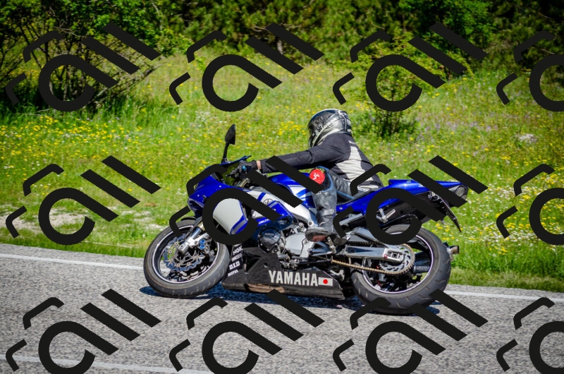 202506011100-DSC_2825_c2