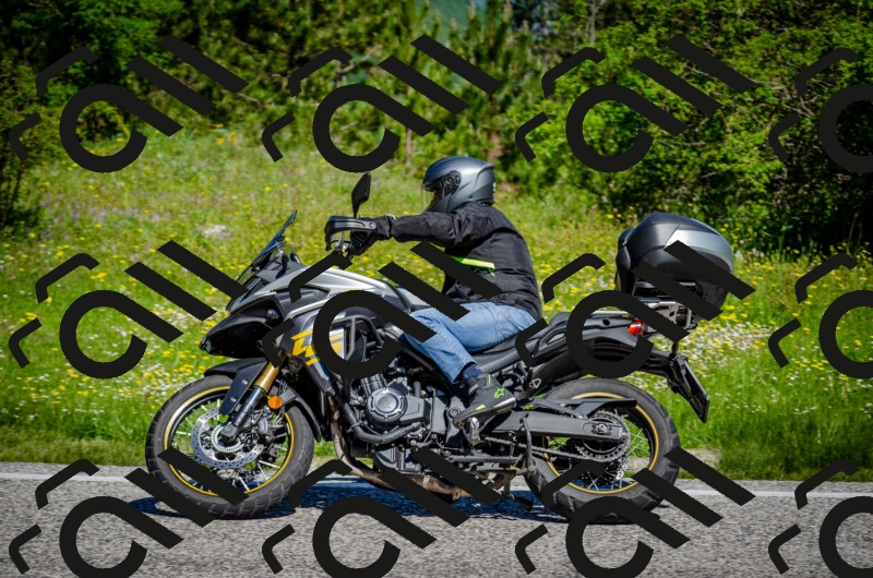 202506011100-DSC_2830_c2