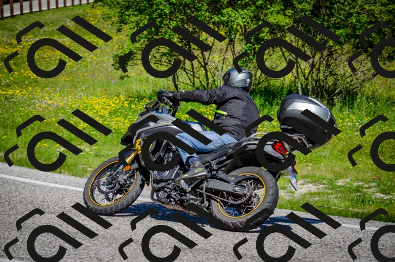 202506011100-DSC_2831_c2