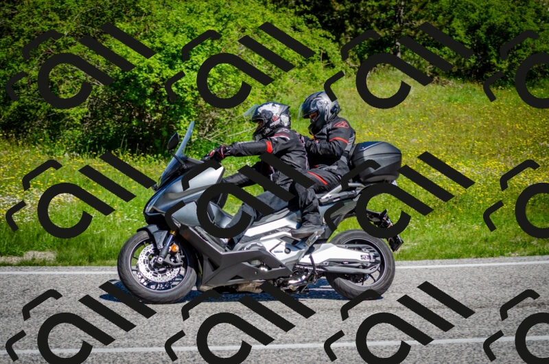 202506011101-DSC_2843_c2