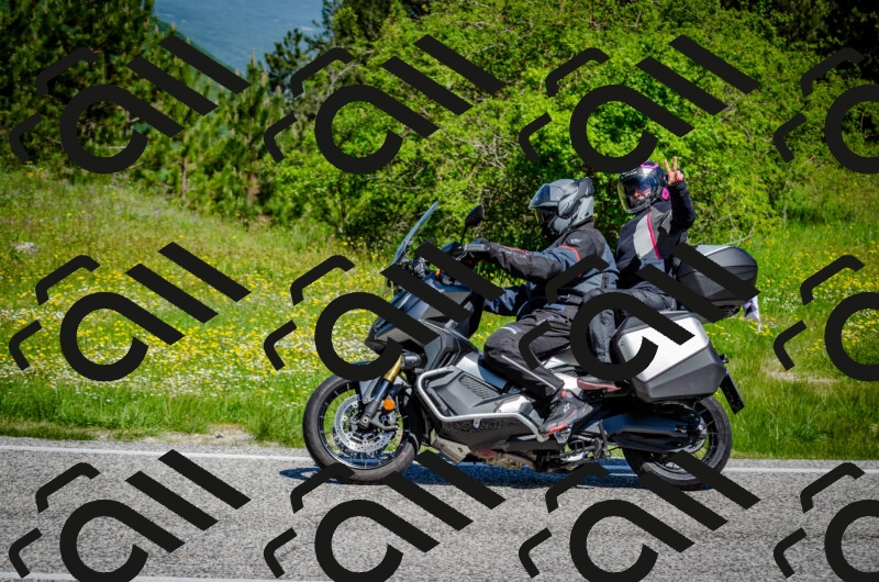 202506011101-DSC_2845_c2