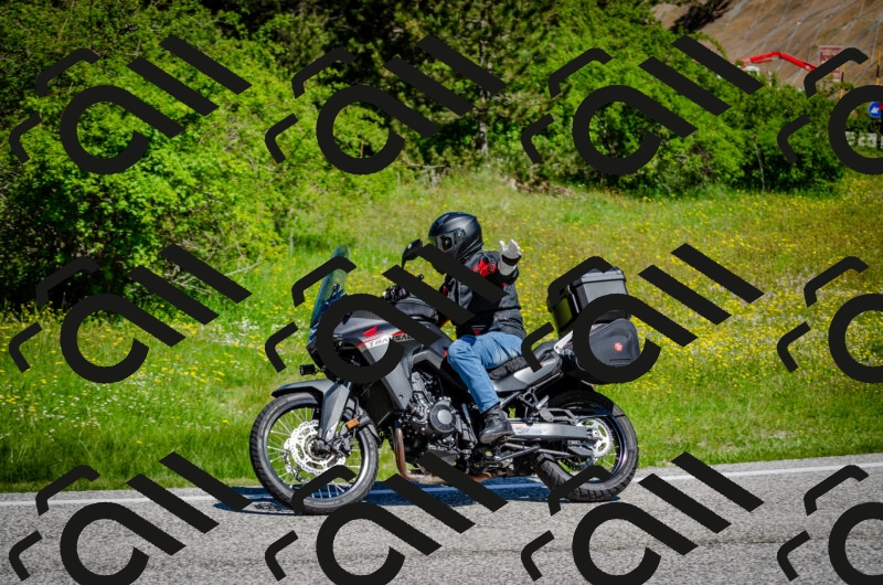 202506011101-DSC_2846_c2