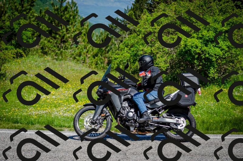 202506011101-DSC_2847_c2