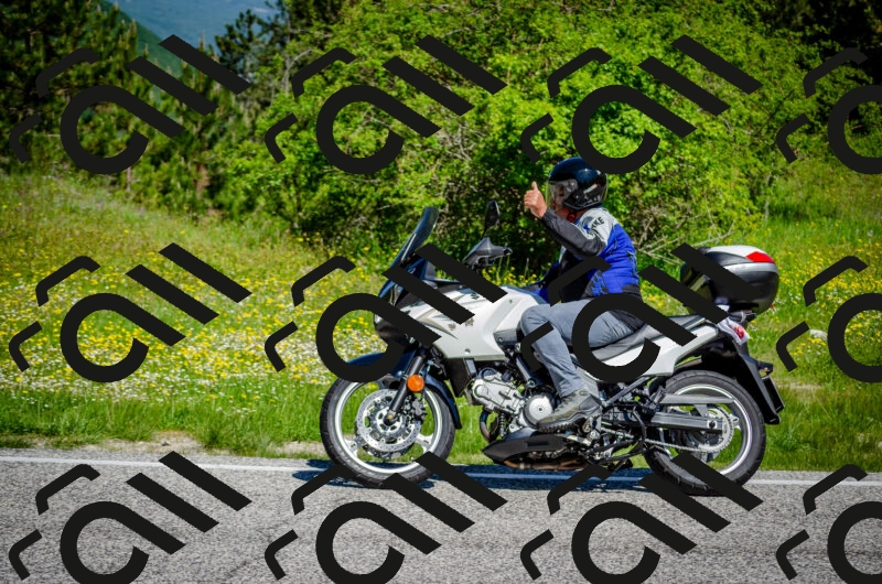 202506011101-DSC_2849_c2