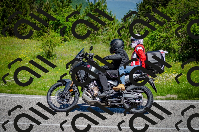 202506011101-DSC_2858_c2