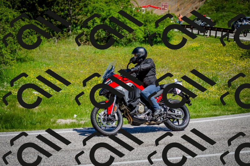 202506011101-DSC_2859_c2