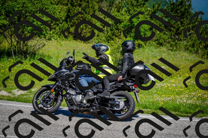 202506011101-DSC_2861_c2