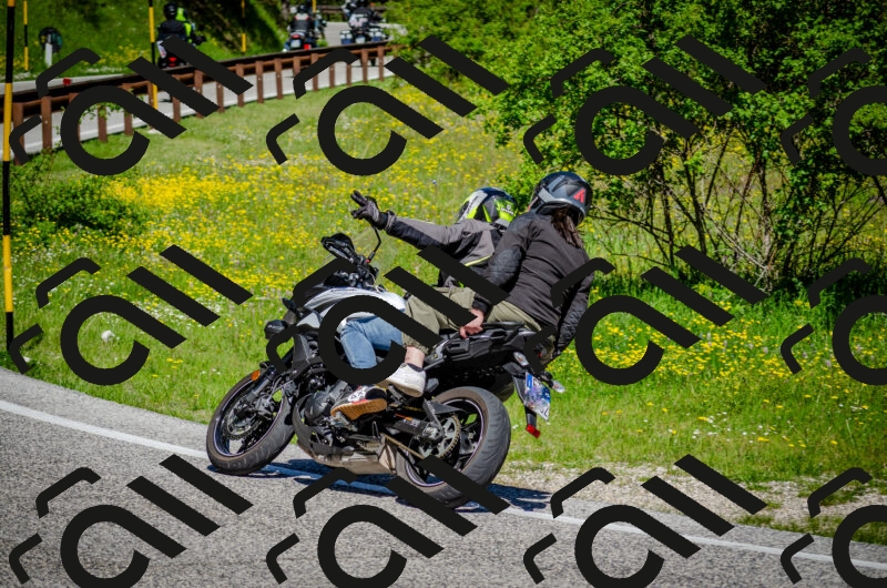 202506011101-DSC_2864_c2