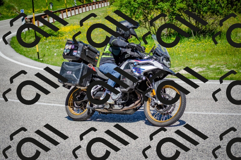 202506011101-DSC_2867_c2