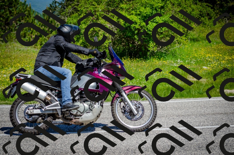 202506011103-DSC_2880_c2