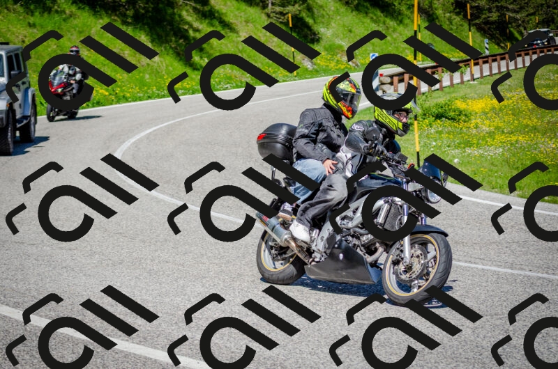 202506011103-DSC_2891_c2