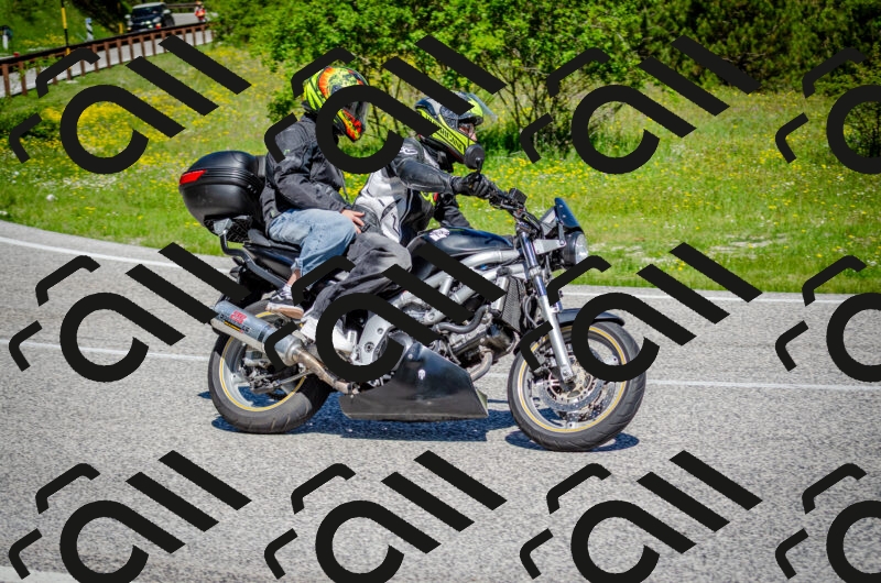 202506011103-DSC_2892_c2