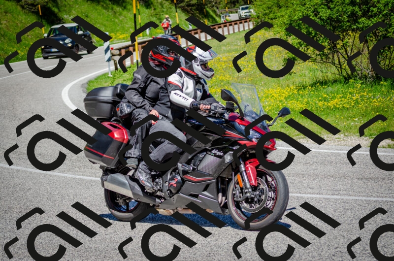 202506011104-DSC_2894_c2