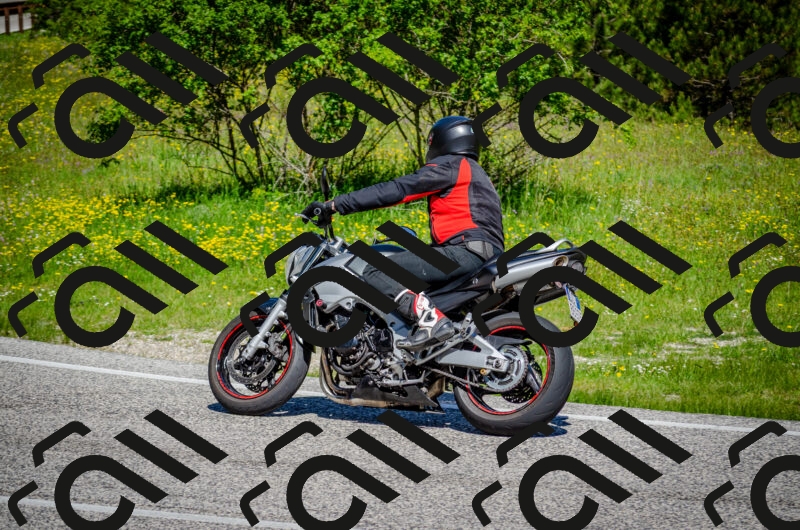 202506011104-DSC_2905_c2