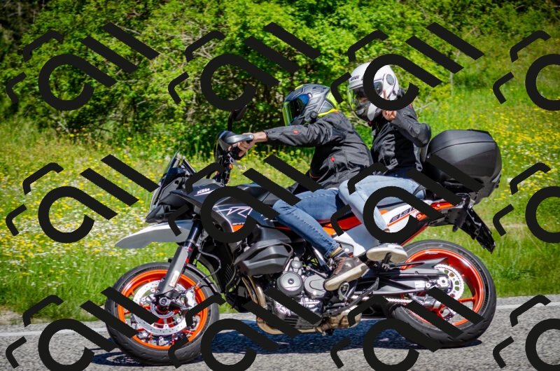 202506011105-DSC_2912_c2