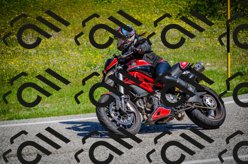 202506011105-DSC_2918_c2