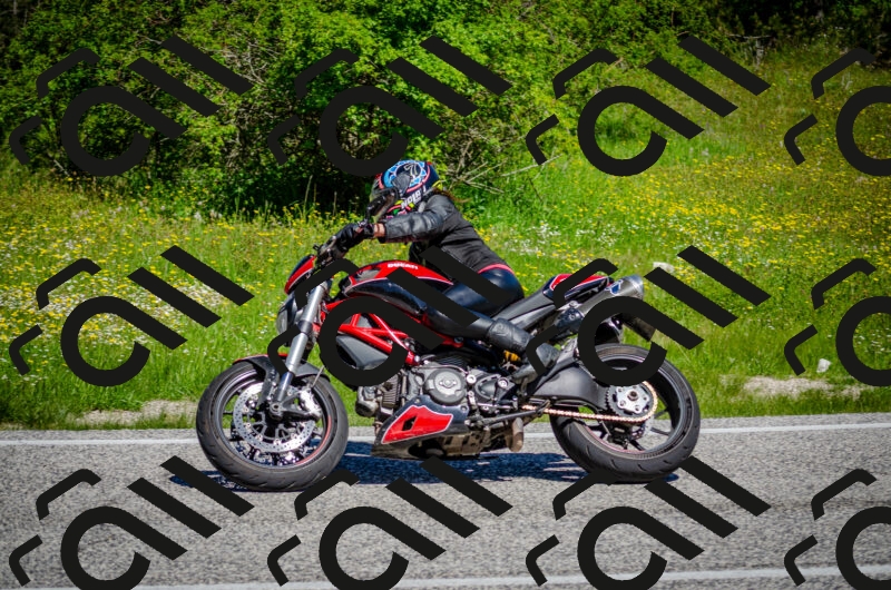 202506011105-DSC_2919_c2